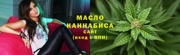мдпв Пересвет