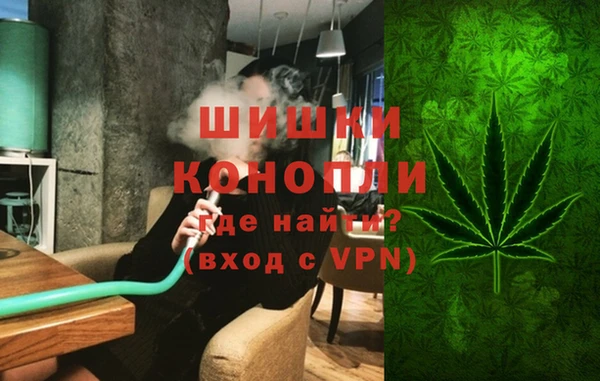 мдпв Пересвет
