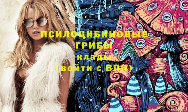 мдпв Пересвет