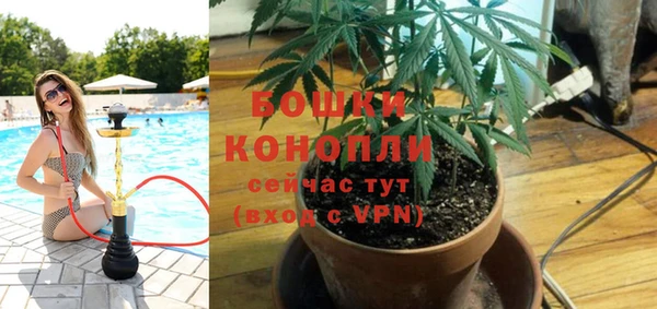 мдпв Пересвет