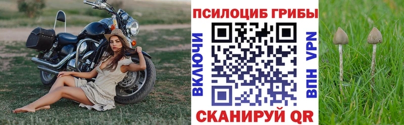 Галлюциногенные грибы прущие грибы  Вольск 