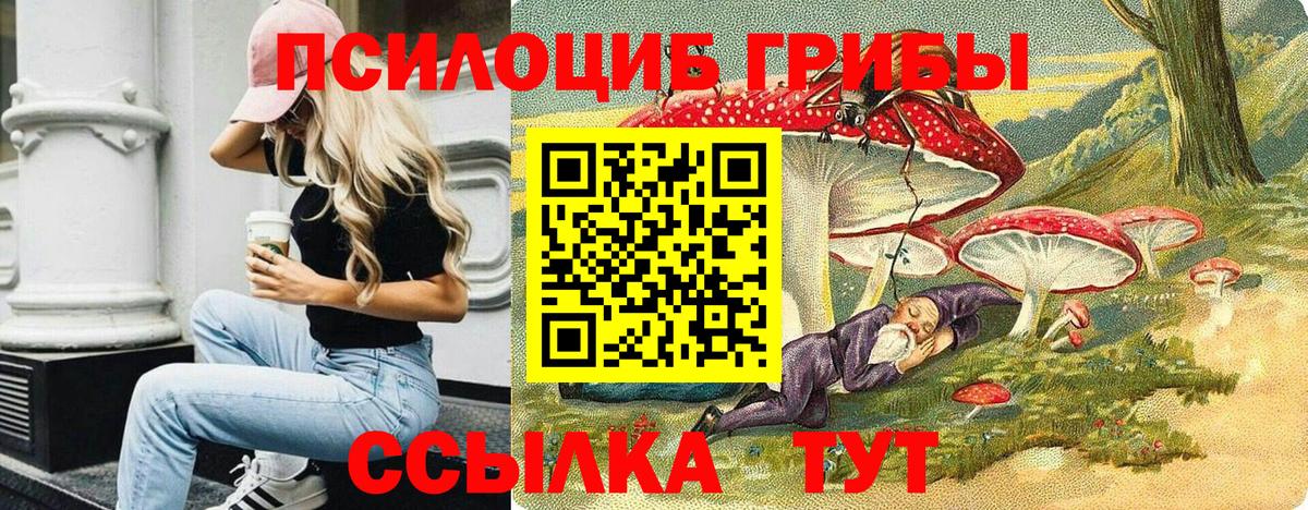 Вольск  купить закладку  Псилоцибиновые грибы Psilocybine cubensis  Вход с VPN  Псилоцибиновые грибы GOLDEN TEACHER 